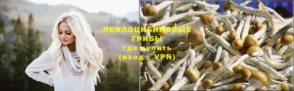 ГАЛЛЮЦИНОГЕННЫЕ ГРИБЫ Балабаново