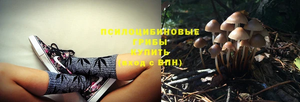 mdpv Баксан