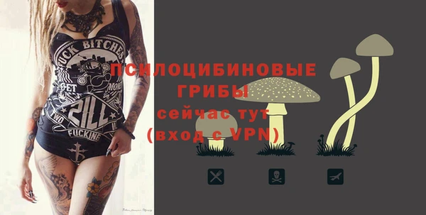 mdpv Баксан