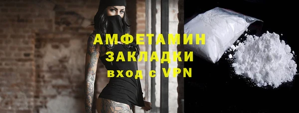 индика Дмитриев