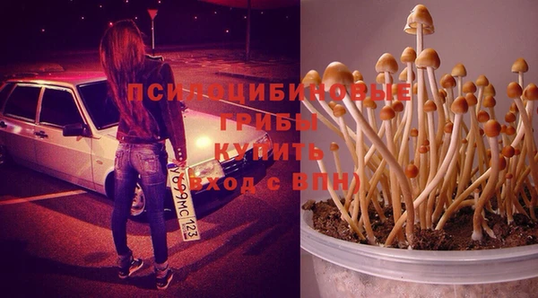 mdpv Баксан